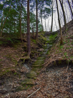 Cliff